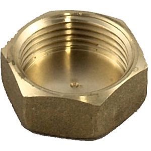 Bouchon loup 3/4&quot; laiton 2410025 pour CGB