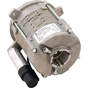 Wolf Elektromotor komplett 2413222 für Cuenod-Gelbbrenner