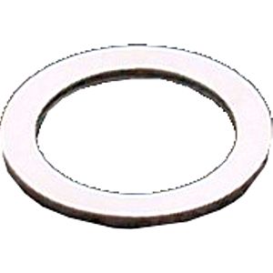 Wolf Dichtung Hauptbrennerdüse 2425053 für NG-31E