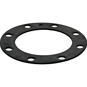 Wolf Dichtung Handlochdeckel 2445535 SE-1/SE-2-150-500 (AE)