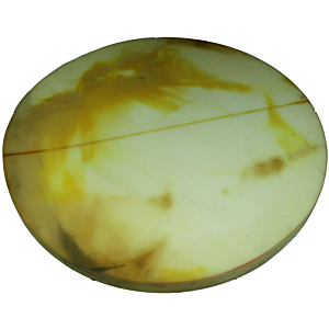 Couverture d&#39;isolation thermique Wolf 2484170 pour SPU-2-2000