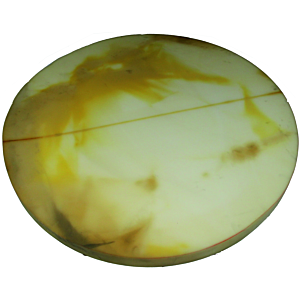 Couverture d&#39;isolation thermique Wolf 2484173 pour SPU-2-5000