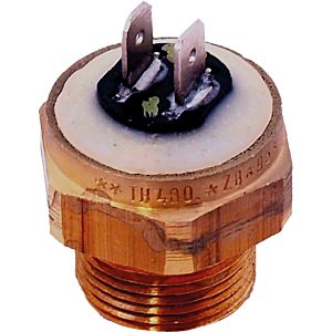 Pompe de thermostat de secours Wolf 95C 2744658 pour BVG-23/30