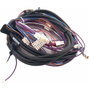 Jeu de câbles Wolf capteurs 2744866 pour BWS-1