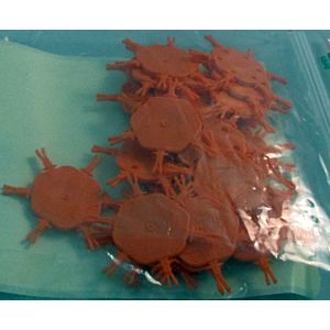 Support de broche de codage Wolf 6 fois X-COM S 2744945 pour BWS-1