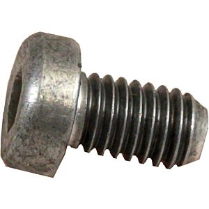 Wolf Zylinderschraube M6X10-AL 345095199 DIN7984