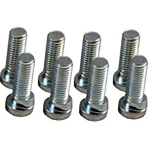 Vis anti-torsion Wolf M10x30 3450966 pour SE