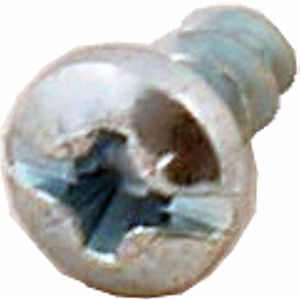 Wolf Plastofast screw 4x8 3451010 for CGB