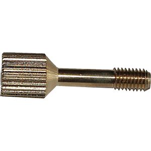 Wolf knurled screw M5x22 SW4 IS PHE 349048599 for CGW-2, CGB-2K