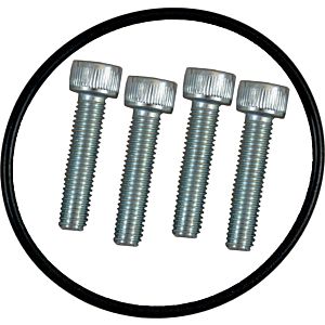 Wolf screw set M8 GKV and gas pipe 3490551 for MGK-2