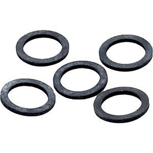 Wolf flat gasket D24xD17x2 (G3/4&quot;) 391026499 for overflow valve