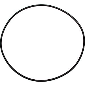 Wolf seal O-ring 200x4 3910268 for MGK-2