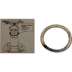 Joint en graphite Wolf électrique. conducteur 3910434 79,8x63,6x0,25