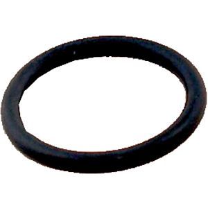 Wolf O-ring for flow switch 5718767199