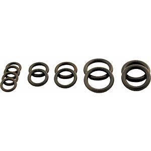 Wolf O-Ring-Set Hydraulikgruppe 8612385 für CGG