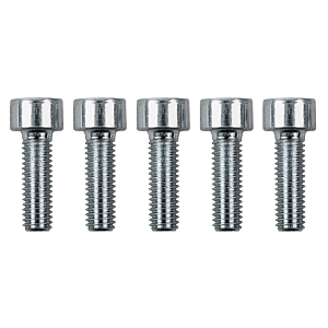 Vis Wolf M5x16 pour HKP et WWT 8612390 pour CGG
