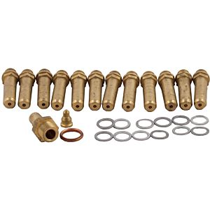 Kit de conversion Wolf au gaz naturel E 8700316 pour NG-31E-110/NG-31ED-220