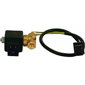 Électrovanne Wolf 10884 Pompe Eckerle 8902406 pour NU, HU, CNU, CHU, FNU, FHU