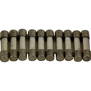 Wolf Feinsicherung 6,3 A, Träge 8902434 Set a 10 St.