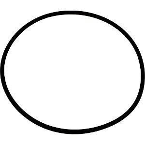 Wolf O-Ring 132 x 4 Viton 8905738 für COB