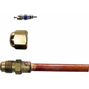 Vanne Wolf Schrader 9146072 pour BWS-1/BWL-1