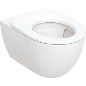 Geberit Acanto wall washdown toilet 502996001 closed form, TurboFlush, set including toilet seat ring