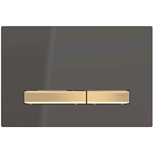 Geberit Sigma 50 flush plate 115672DW2 cover plate black, plate / button brass, for dual flush