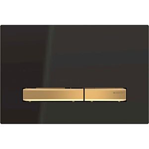 Geberit Sigma 50 flush plate 115672DW2 cover plate black, plate / button brass, for dual flush