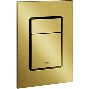 Grohe Skate Cosmopolitan cover plate 37535GN0 vertical mounting, brushed cool sunrise