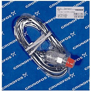Grundfos accessory 405168 for underwater pump, Rp 1/2
