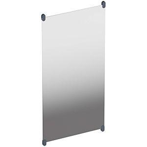 Hewi S 801 miroir mural 801.01B30092 600x1200x6mm, avec supports, mat, gris anthracite