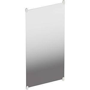 Hewi S 801 miroir mural 801.01B30097 600x1200x6mm, avec supports, mat, gris clair