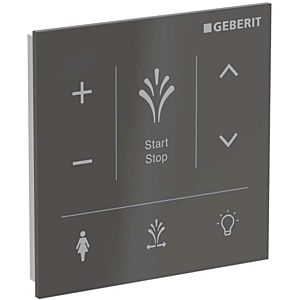 Geberit AquaClean wall control panel 147041SJ1 for surface mounting, surface glass/color black