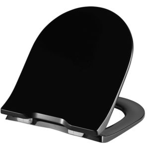 Pressalit Objecta D Pro WC seat 998111-DF7999 black polygiene, fixed hinge DF7, Stainless Steel , with cover, standard
