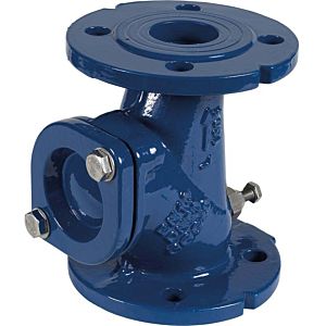 SFA ball check valve DN 80 GG HYDRO-00095 suitable for Sanipump VX 80
