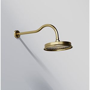 Steinberg Series 350 shower head set 3501680BG wall mounting, Easy Clean, brushed gold