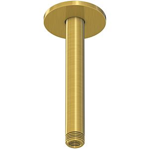 Steinberg Series 100 shower arm 1001571BG 120 mm, brushed gold, ceiling mounting