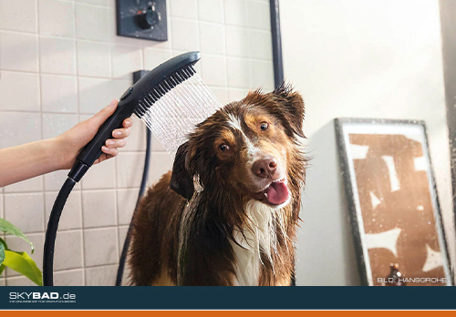 hansgrohe dogshower hundedudche