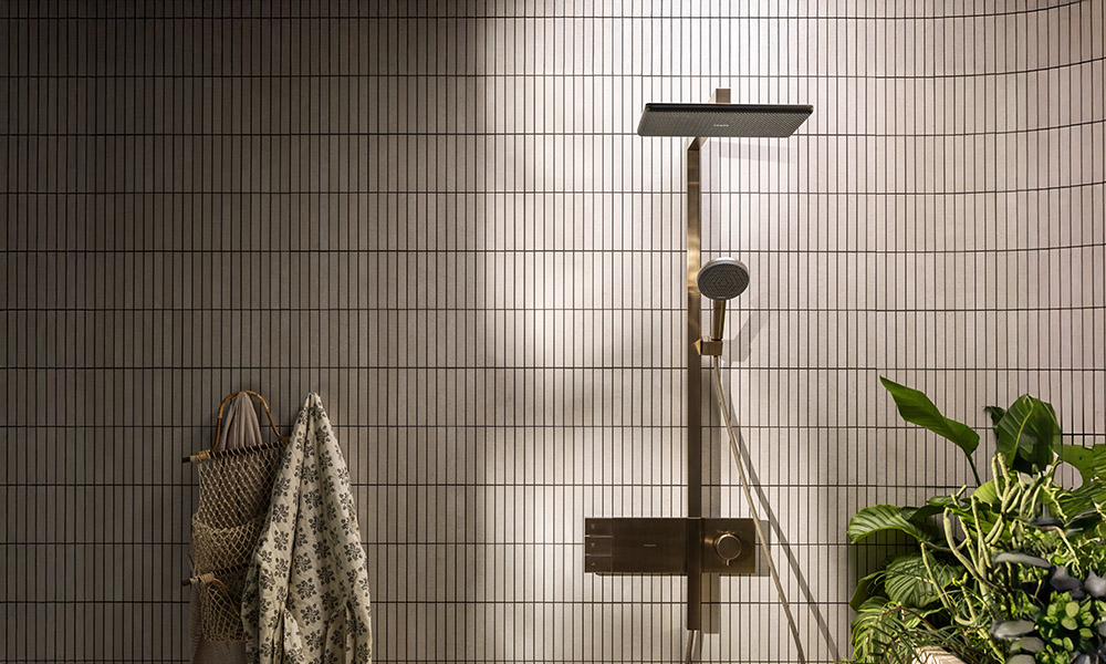 hansgrohe raindance alive q