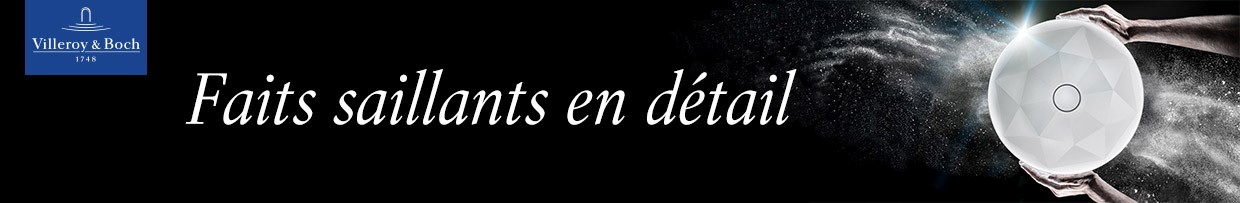 Villeroy & Boch TitanCeram